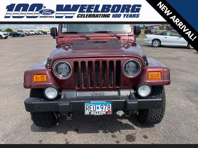 Used 2003 Jeep Wrangler SAHARA with VIN 1J4FA59S83P307950 for sale in Redwood Falls, Minnesota