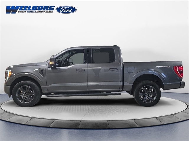 Used 2023 Ford F-150 XLT with VIN 1FTFW1E81PFA14798 for sale in Redwood Falls, Minnesota