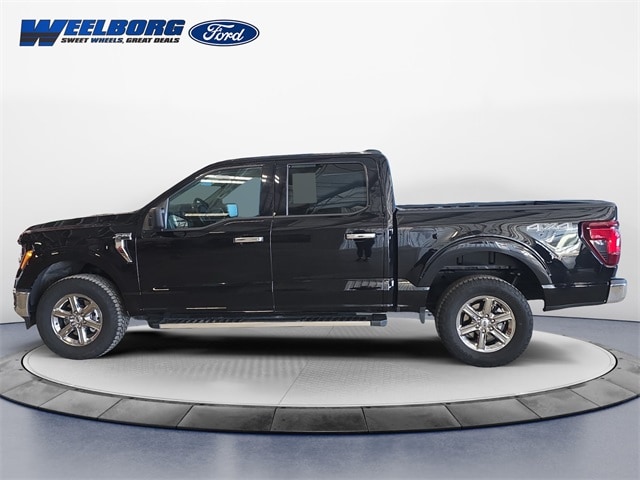 Used 2025 Ford F-150 XLT with VIN 1FTFW3L5XSKD98312 for sale in Redwood Falls, Minnesota