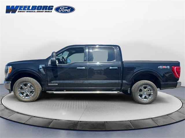 Used 2023 Ford F-150 XLT with VIN 1FTFW1ED1PFB68747 for sale in Redwood Falls, MN