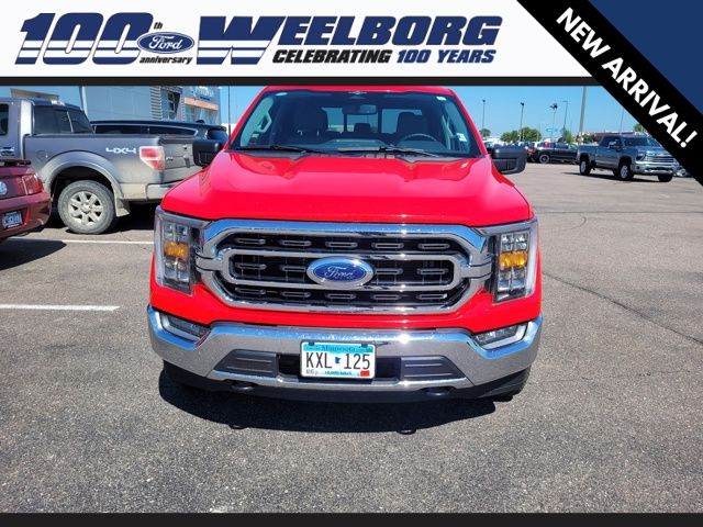 Used 2023 Ford F-150 XLT with VIN 1FTFW1E53PKF17665 for sale in Redwood Falls, Minnesota