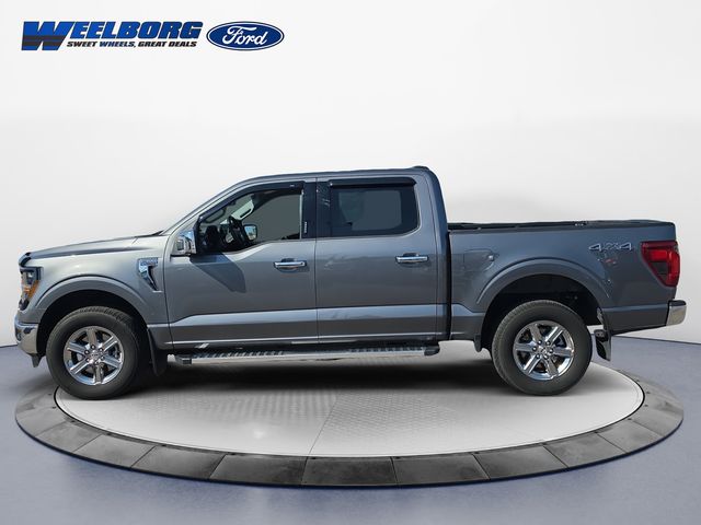 Used 2024 Ford F-150 XLT with VIN 1FTFW3L56RFA60327 for sale in Redwood Falls, Minnesota