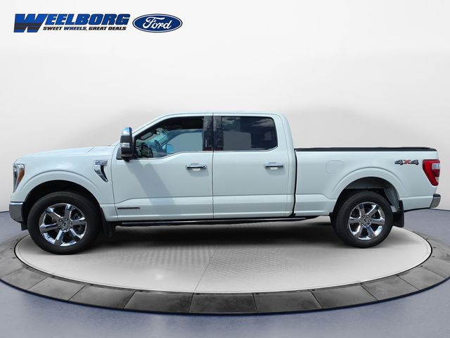 Used 2023 Ford F-150 Lariat with VIN 1FTFW1ED1PFA02910 for sale in Redwood Falls, Minnesota