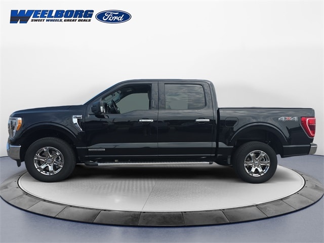 Used 2023 Ford F-150 XLT with VIN 1FTFW1ED1PFB68747 for sale in Redwood Falls, Minnesota