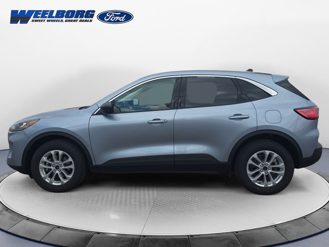 Used 2022 Ford Escape SE with VIN 1FMCU9G64NUB48650 for sale in Redwood Falls, Minnesota