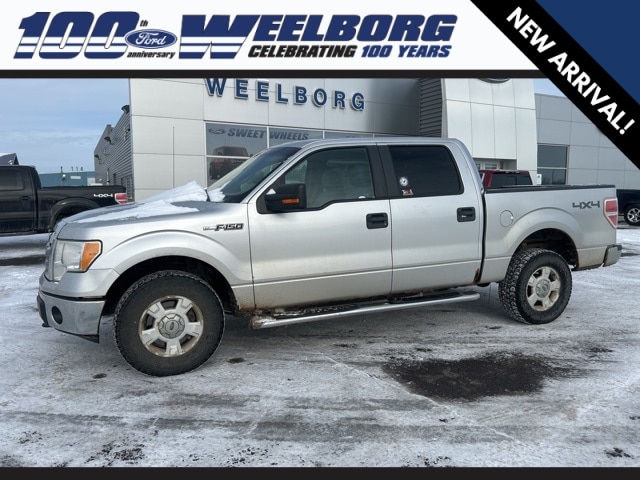 2010 Ford F-150 XL's photo