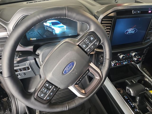 2025 Ford F-150 Platinum - Photo 13