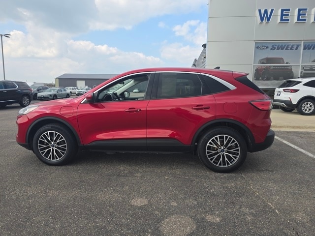 Used 2021 Ford Escape SE with VIN 1FMCU0EZ7MUA54558 for sale in Redwood Falls, Minnesota