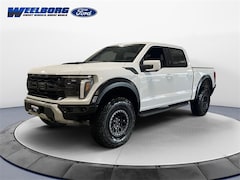 2025 Ford F-150 Raptor Truck