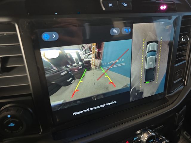 2025 Ford F-150 Platinum - Photo 16