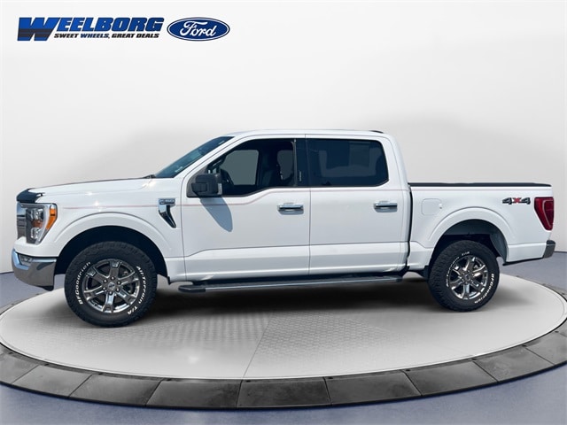 Used 2021 Ford F-150 XLT with VIN 1FTFW1E87MFA52421 for sale in Redwood Falls, MN