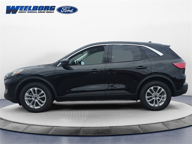 Used 2022 Ford Escape SE with VIN 1FMCU9BZ5NUA60871 for sale in Redwood Falls, Minnesota