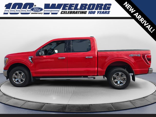 Used 2023 Ford F-150 XLT with VIN 1FTFW1E53PKF17665 for sale in Redwood Falls, Minnesota