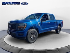 2025 Ford F-150 STX Truck