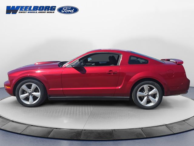 Used 2005 Ford Mustang Deluxe with VIN 1ZVFT80N755246126 for sale in Redwood Falls, Minnesota
