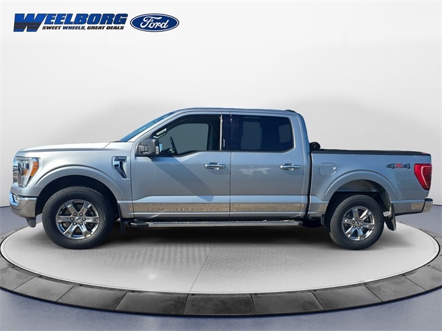 Used 2021 Ford F-150 XLT with VIN 1FTEW1EP3MKE99256 for sale in Redwood Falls, Minnesota