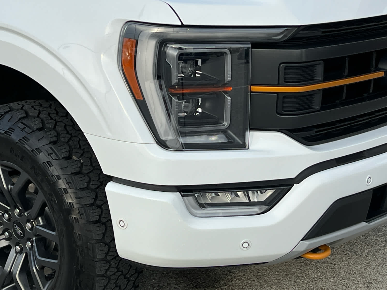 Used 2021 Ford F-150 Tremor with VIN 1FTEW1E81MFC60435 for sale in Kokomo, IN