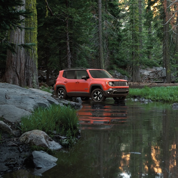 New Jeep Renegade in the forest