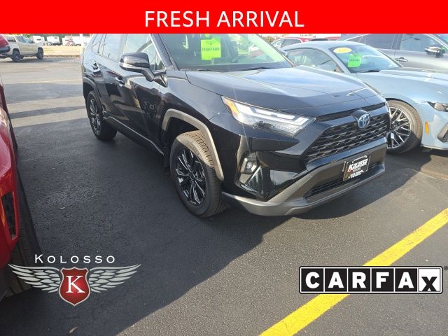 2024 Toyota RAV4 Hybrid XLE Premium AWD's photo