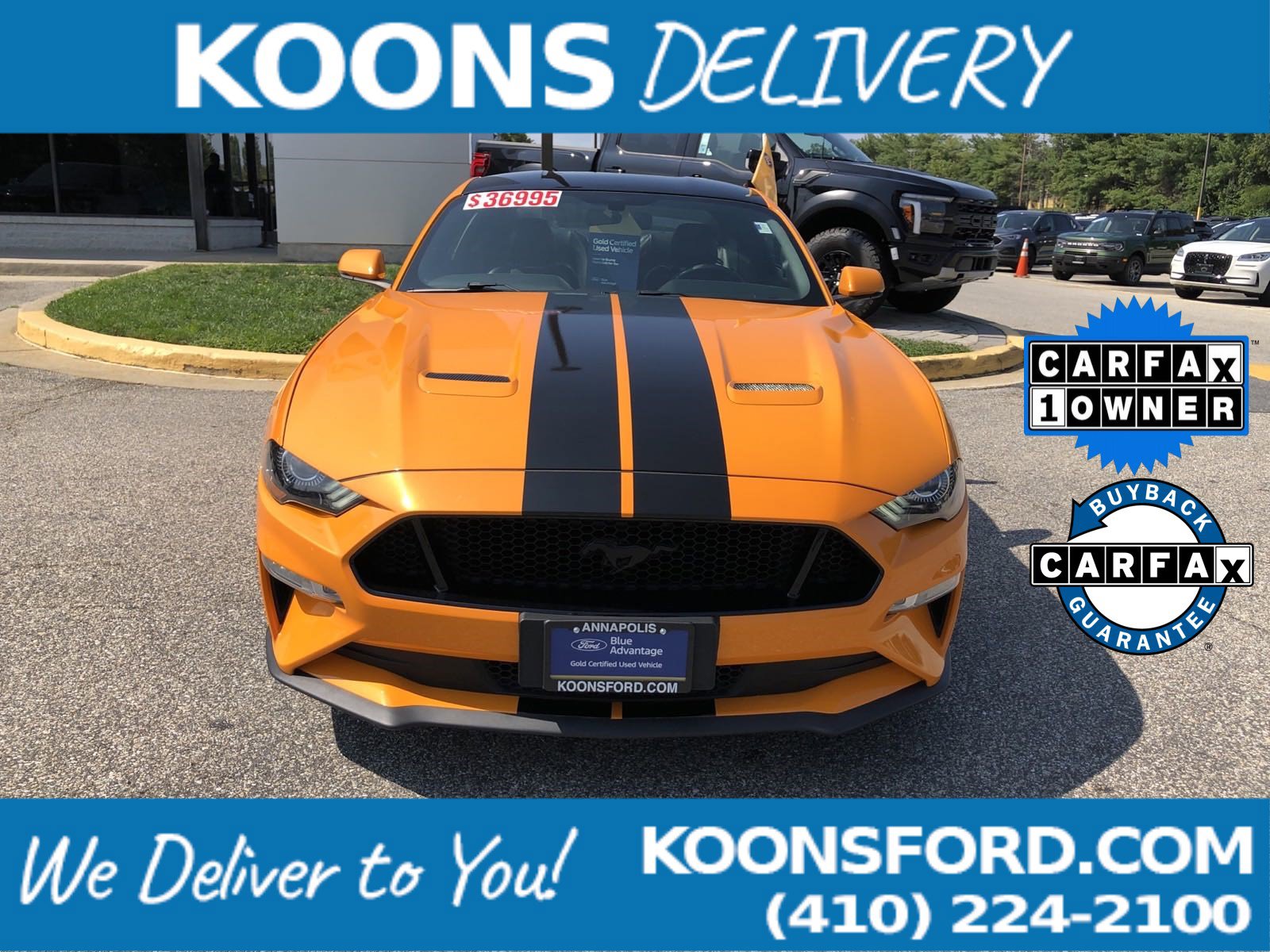 Certified 2019 Ford Mustang GT Premium with VIN 1FA6P8CFXK5119481 for sale in Annapolis, MD