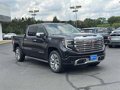 2025 GMC Sierra 1500 Denali Truck