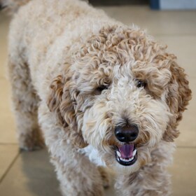 Staff member Benji from ID_070fbd250f41