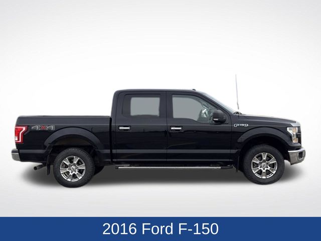 Used 2016 Ford F-150 XLT with VIN 1FTEW1EF9GKF19490 for sale in Marshall, Minnesota