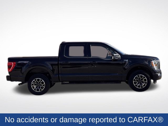 Used 2023 Ford F-150 XLT with VIN 1FTEW1EP6PKF25336 for sale in Marshall, Minnesota
