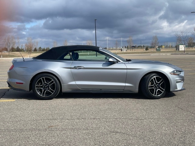 Used 2020 Ford Mustang EcoBoost Premium with VIN 1FATP8UH6L5112628 for sale in Marshall, Minnesota