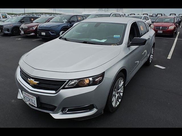 Used 2019 Chevrolet Impala 1LS with VIN 1G11Y5S32KU146910 for sale in Marshall, Minnesota