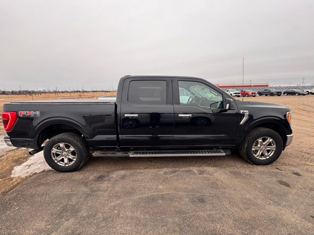Used 2021 Ford F-150 XLT with VIN 1FTFW1E54MFB10099 for sale in Marshall, MN