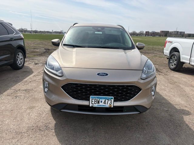 Used 2020 Ford Escape SEL with VIN 1FMCU9H99LUA57038 for sale in Marshall, Minnesota