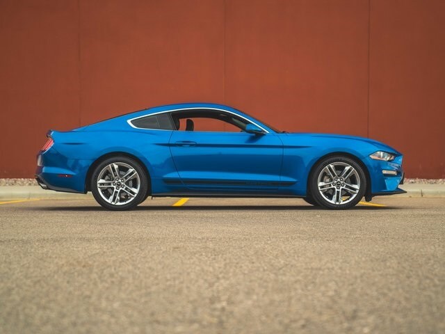 Used 2019 Ford Mustang EcoBoost Premium with VIN 1FA6P8TH6K5134867 for sale in Marshall, Minnesota