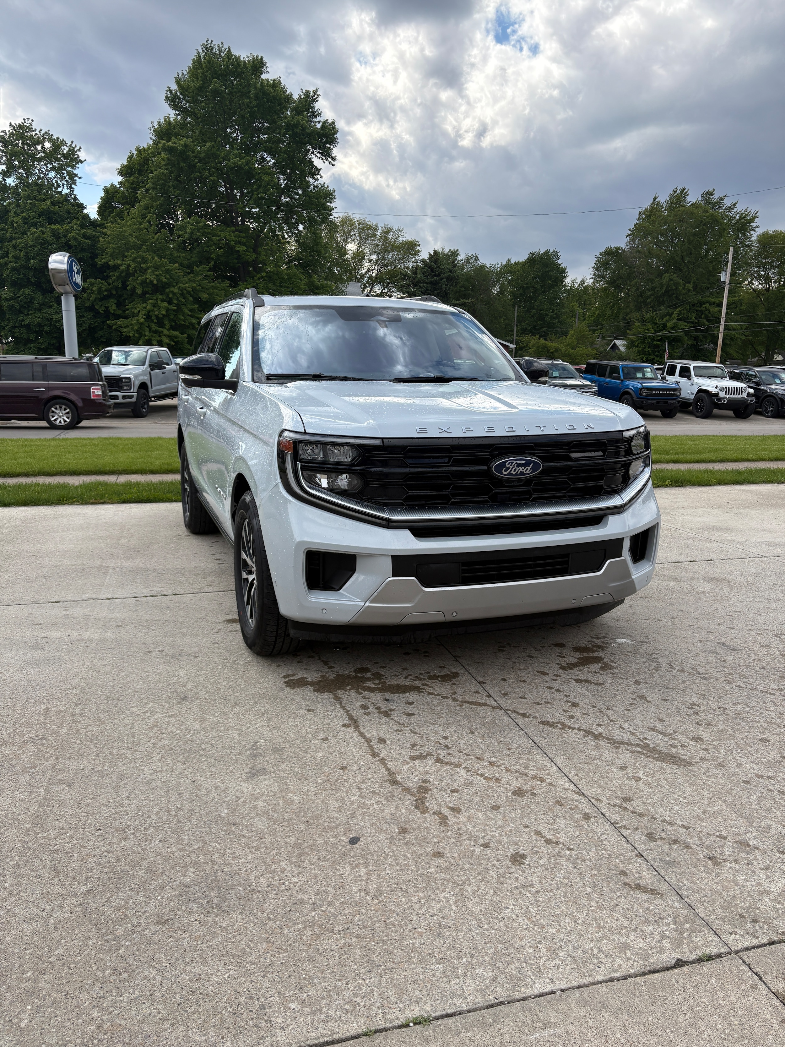 2025 Ford Expedition Platinum 4x4's photo