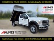  Ford Chassis Cab
