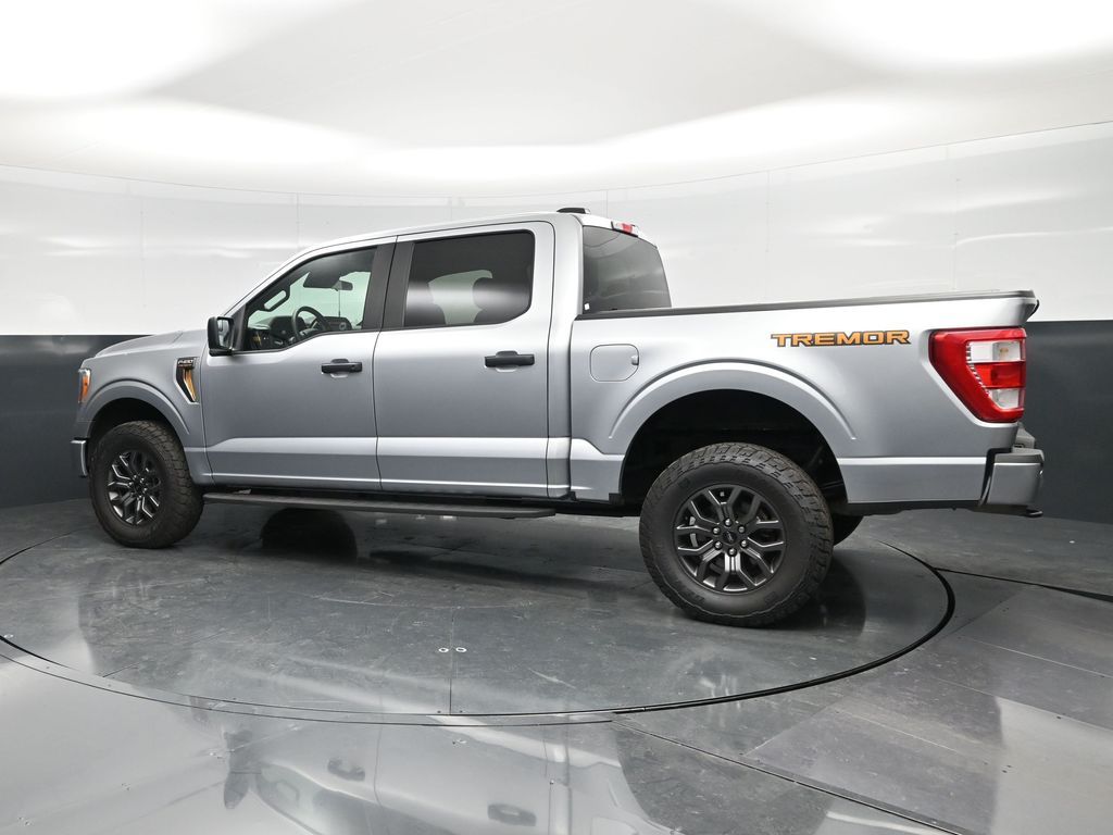 2022 Ford F-150 Tremor - Photo 9
