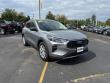 Used 2024 Ford Escape Active SUV