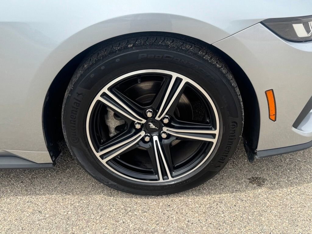 Used 2024 Ford Mustang Ecoboost