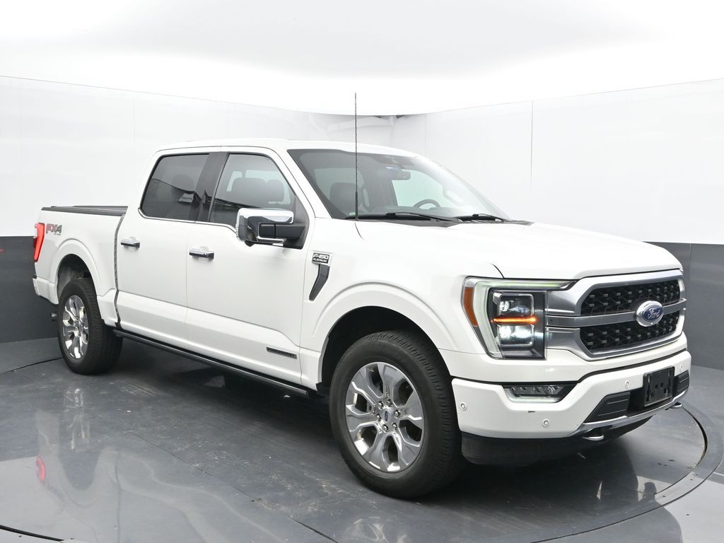 2021 Ford F-150 Platinum photo 2