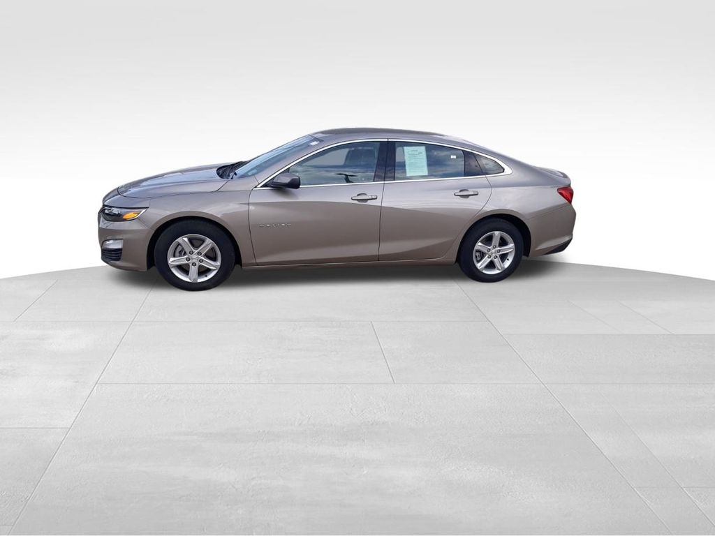 2024 Chevrolet Malibu 1LT photo 4