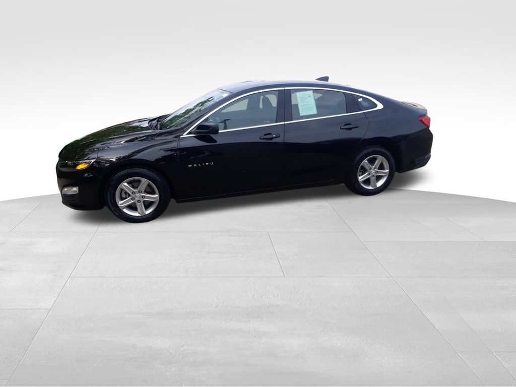 2024 Chevrolet Malibu 1LT photo 4