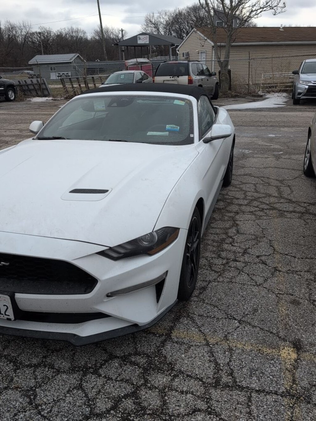 Used 2023 Ford Mustang Ecoboost Premium Convertible