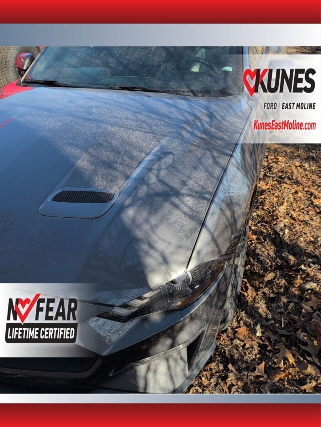 Used 2023 Ford Mustang Ecoboost Premium Convertible