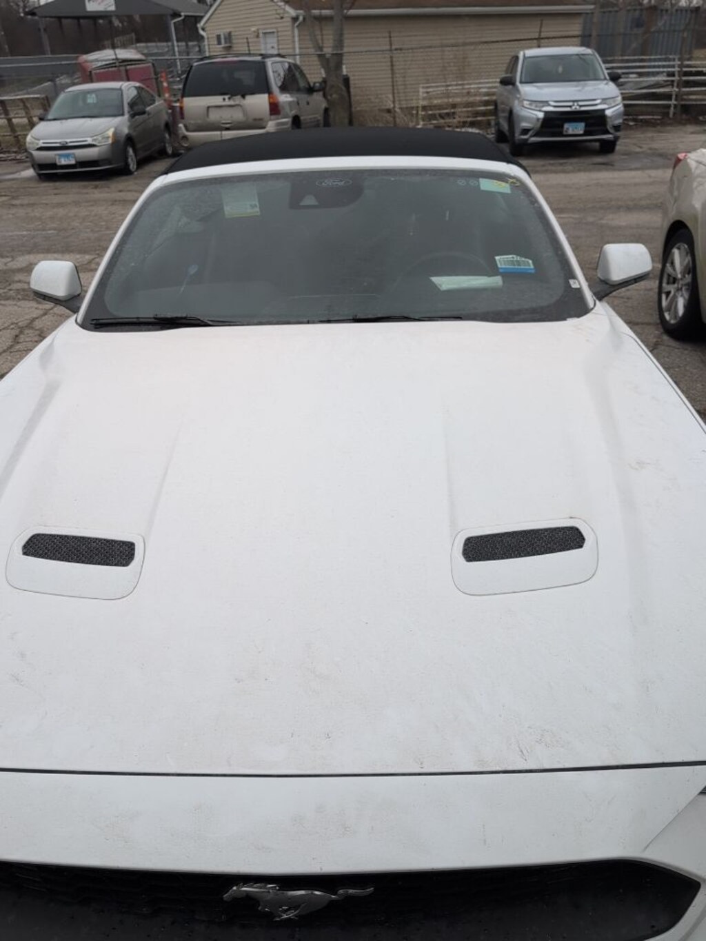 Used 2023 Ford Mustang Ecoboost Premium Convertible