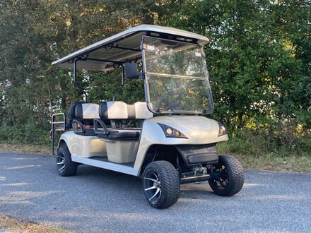 2022 Royal EV Lithium M6