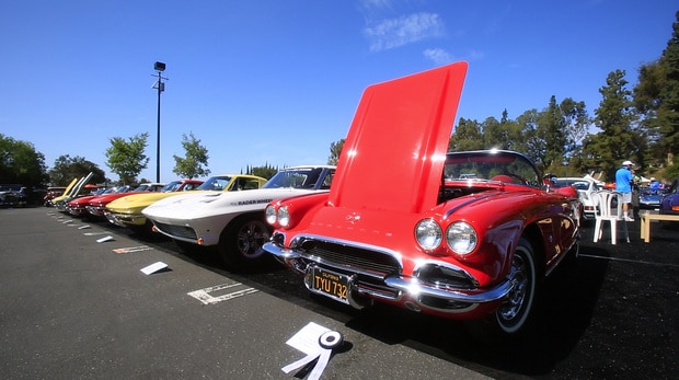 A row of Chevrolet Corvettes at the 2014 Greystone Concours