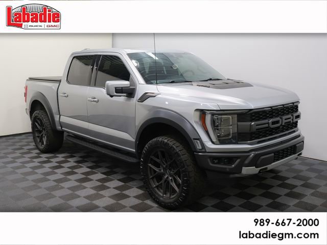 2022 Ford F-150 Raptor's photo