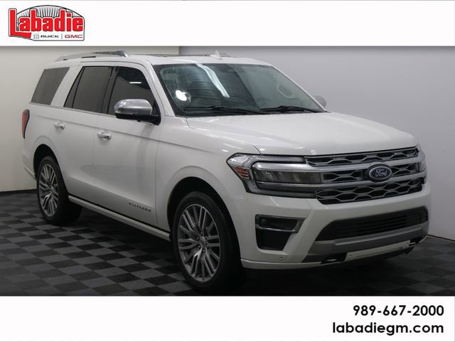 2022 Ford Expedition Platinum's photo