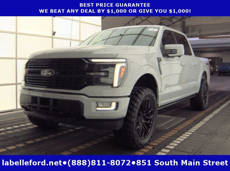 2024 Ford F-150 Platinum's photo