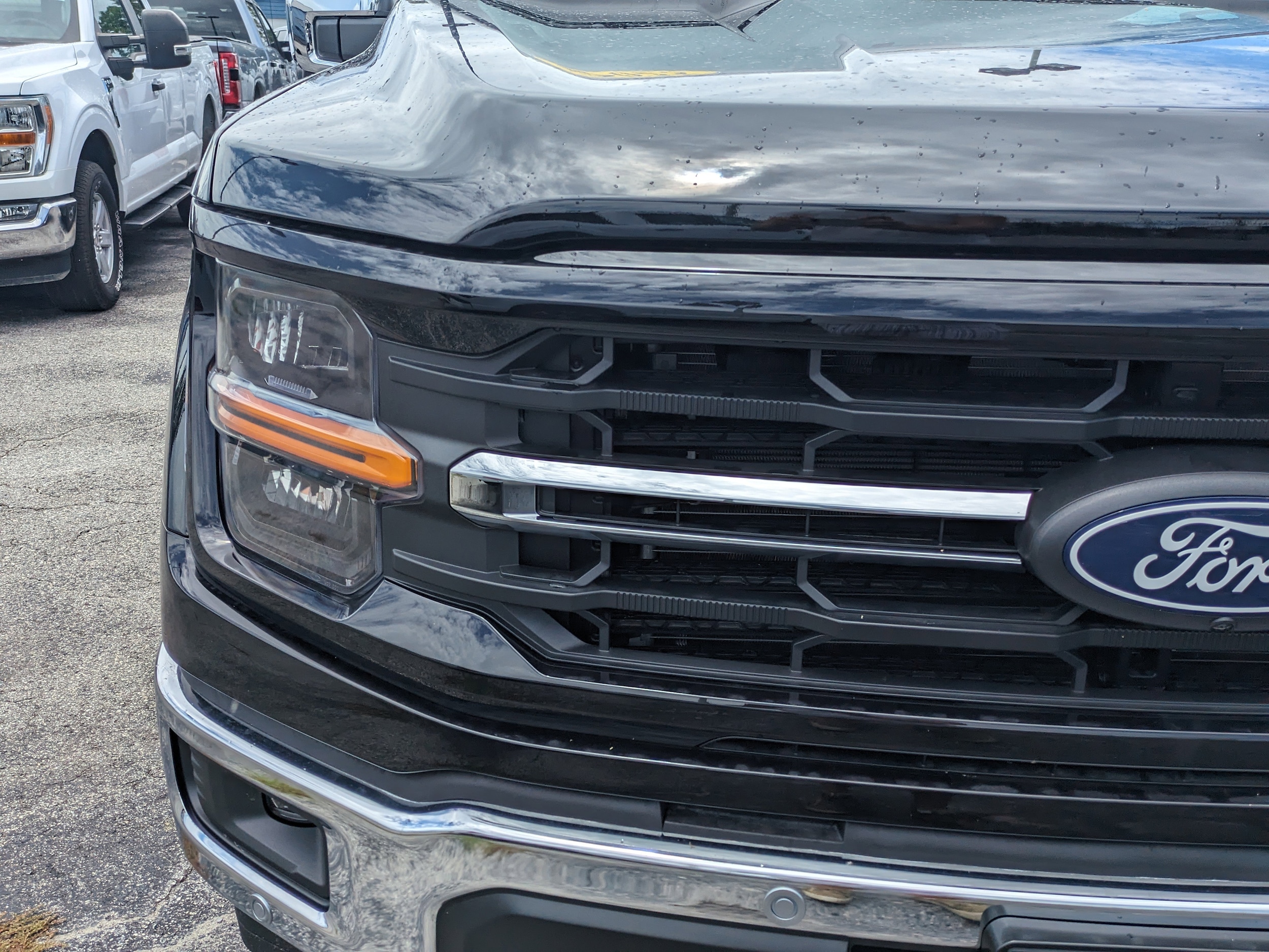 2025 Ford F-150 XLT - Photo 10